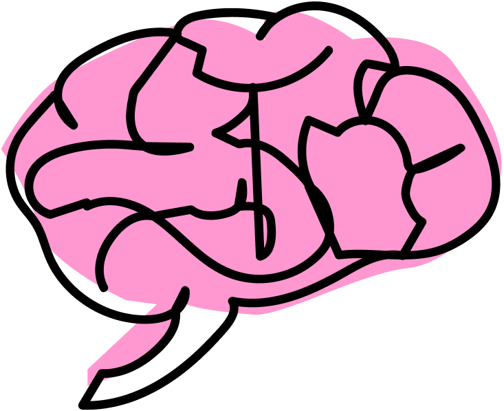 brain